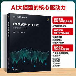 李进 著 化学工业出版 吕阳 社 图书籍 王凤仪 新华书店正版 数据处理与特征工程 计算机控制仿真与人工智能专业科技