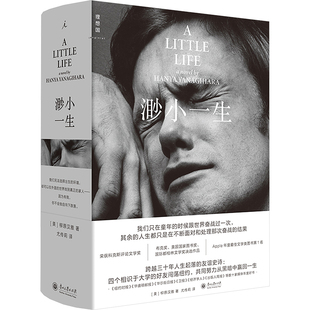 渺小一生 (美)柳原汉雅 著 尤传莉 译 外国小说文学 新华书店正版图书籍 贵州大学出版社