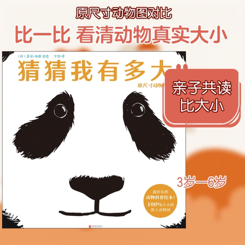 新华书店正版 绘本