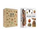 果实种子图鉴 科普读物其它 译等 小林智洋 3册 世界上不可思议 山东智纪 果实观察手册 落叶 雷韬 全2册 著 日