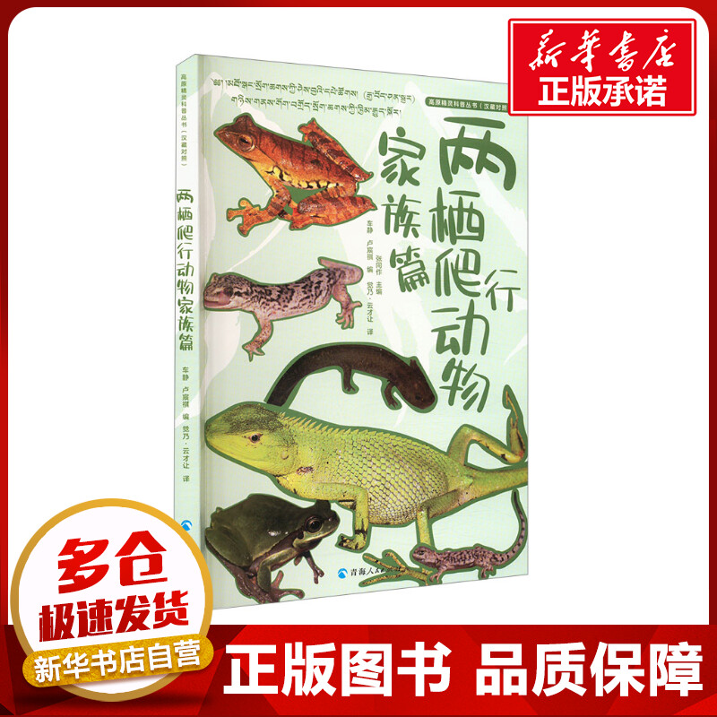 高原精灵科普丛书 两栖爬行动物家族篇 汉藏对照 张同作,车静,卢宸祺 编 觉乃·云才让 译 生命科学/生物学专业科技图片