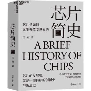 芯片简史 汪波 著 社会科学其它专业科技 新华书店正版图书籍 浙江教育出版社