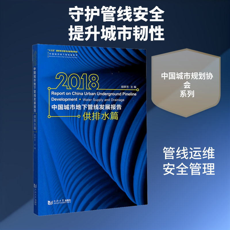 2018中国城市地下管线发展报告 供排水篇 胡群芳 编 建筑/水利(新)专业科技 新华书店正版图书籍 同济大学出版社