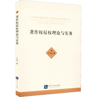 著作权侵权理论与实务 丁文杰 著 法律知识读物社科 新华书店正版图书籍 知识产权出版社