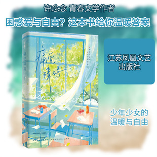 痛觉障碍 许念念 著 青春/都市/言情/轻小说文学 新华书店正版图书籍 江苏凤凰文艺出版社