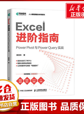 Excel进阶指南 Power Pivot与Power Query实战 袁佳林 著 办公自动化软件（新）专业科技 新华书店正版图书籍 人民邮电出版社