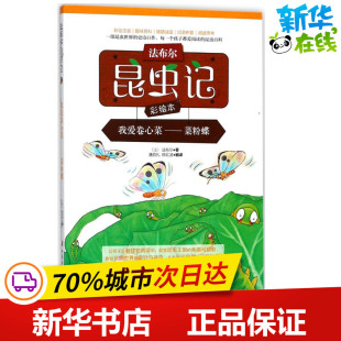 著 菜粉蝶 陈红波 我爱卷心菜 科普百科少儿 中国妇女出版 法布尔 图书籍 法 社 著;潘昌礼 新华书店正版 编译