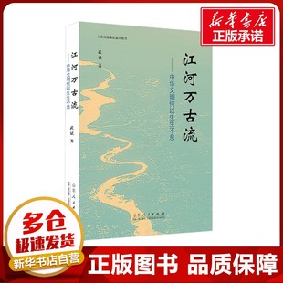 江河万古流——中华文明何以生生不息 武斌 著 文化史文学 新华书店正版图书籍 山东人民出版社