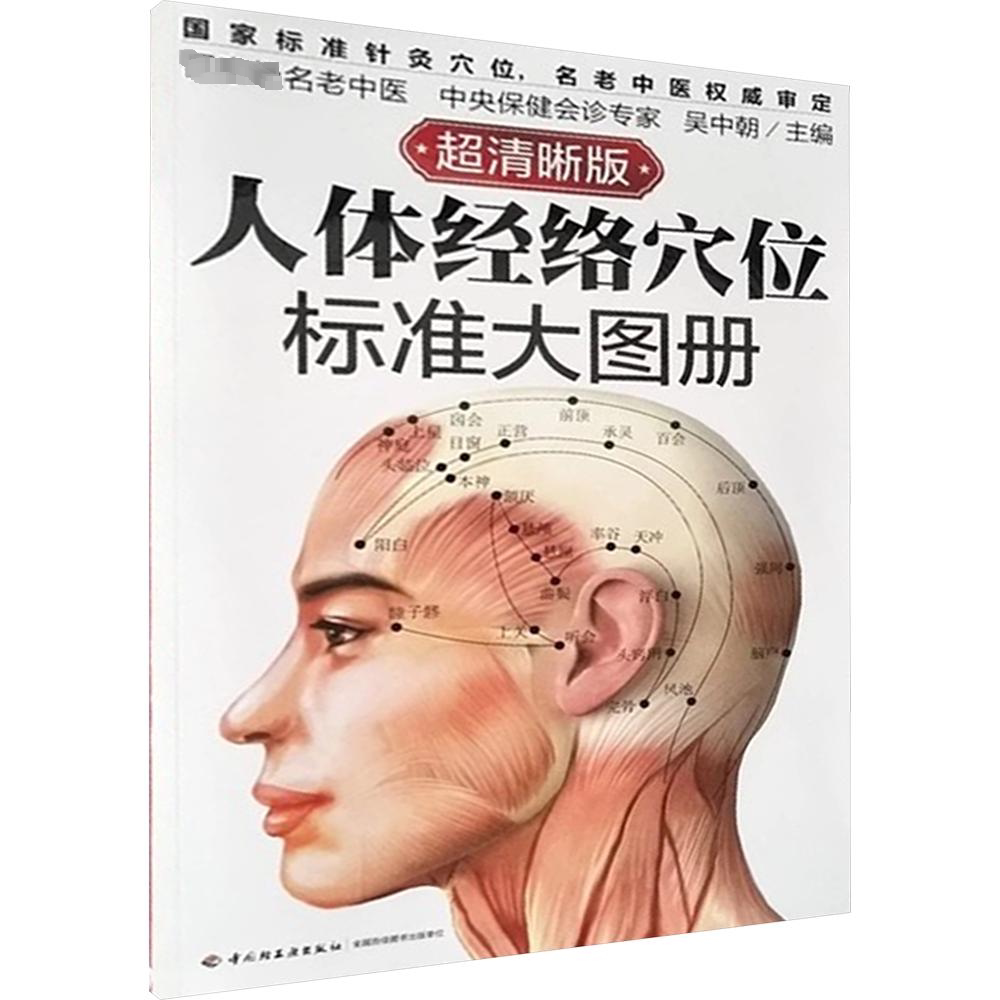 正版 人体经络穴位标准大图册超清晰人体经络穴位图解书人体穴位图解大全中医按摩经络穴位书籍经络穴位按摩大全养生书正版