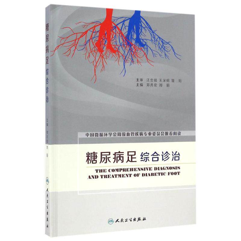 糖尿病足综合诊治 主编郑月宏,刘丽 著 著 内科学生活 新华书店正版图书籍 人民卫生出版社