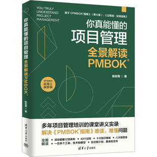 你真能懂的项目管理:全景解读PMBOK 陈柏菁 著 著 大学教材经管、励志 新华书店正版图书籍 清华大学出版社