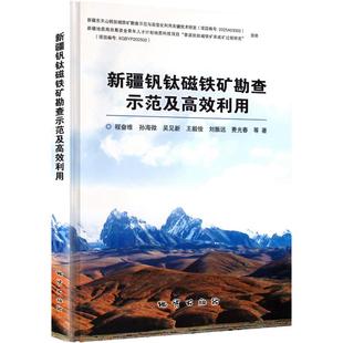 新疆钒钛磁铁矿勘查示范及高效利用 程奋维 等 著 著 冶金工业专业科技 新华书店正版图书籍 地质出版社