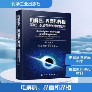 电解质界面和界相 基础知识及在电池中的应用 许康 解质电池研究 电解质离子学 电解质电化学研究 新型电解质研发应用 化学工业