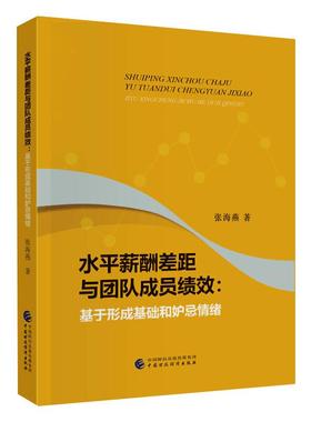 水平薪酬差距与团队成员绩效:基于形成基础和妒忌情绪 张海燕 著 经济理论经管、励志 新华书店正版图书籍 中国财政经济出版社