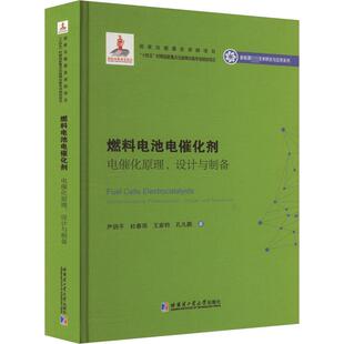 燃料电池电催化剂 电催化原理、设计与制备 尹鸽平 等 著 电子电路专业科技 新华书店正版图书籍 哈尔滨工业大学出版社