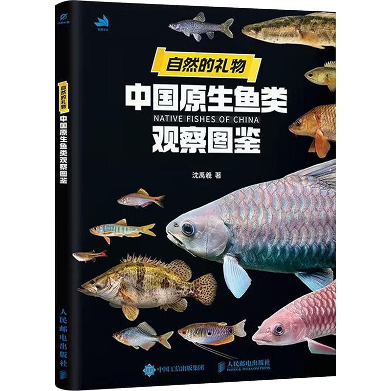 自然的礼物 中国原生鱼类观察图鉴 沈禹羲 著 自然科学总论专业科技 新华书店正版图书籍 人民邮电出版社
