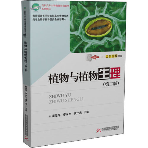 植物与植物生理素材模板 植物与植物生理图片下载 小麦优选