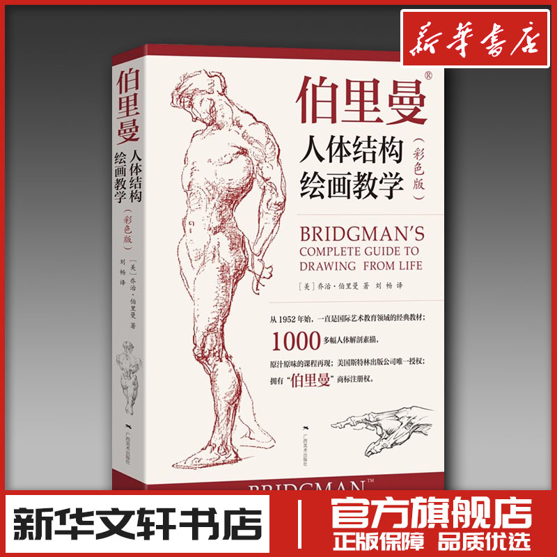 伯里曼人体结构绘画教学(彩色版) ［美］乔治·伯里曼 著 刘畅 译 绘画（新）艺术 新华书店正版图书籍 广西美术出版社