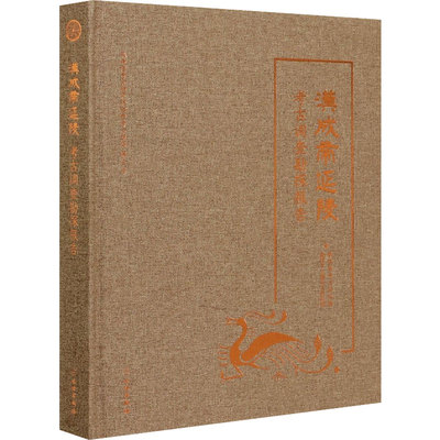 汉成帝延陵考古调查勘探报告 陕西省考古研究院 著 文物/考古社科 新华书店正版图书籍 文物出版社