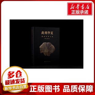 此刻华夏殷商甲骨文展 山东博物馆编 著 文物/考古社科 新华书店正版图书籍 上海书画出版社