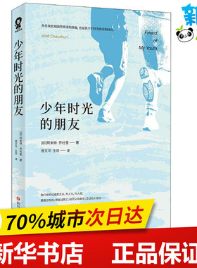 少年时光的朋友 (印)阿米特·乔杜里(Amit Chaudhuri) 著 曾文华,王莅 译 外国小说文学 新华书店正版图书籍 四川文艺出版社