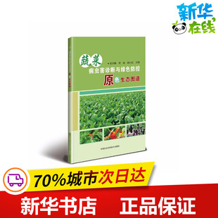 伍均锋 编 何斌 著 农业基础科学专业科技 谢小红 蔬菜病虫害诊断与绿色防控原色生态图谱