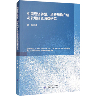 中国经济转型、消费结构升级与发展绿色消费研究 孙皓 著 经济理论经管、励志 新华书店正版图书籍 中国财政经济出版社