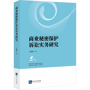 商业秘密保护诉讼实务研究 王现辉 著 法学理论社科 新华书店正版图书籍 知识产权出版社
