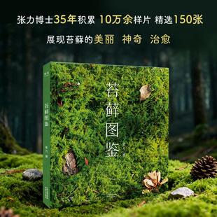 苔藓图鉴 张力 著 张力博士35年积累 10万余样片 精选150张 苔藓的美丽神奇 治愈 新华书店正版图书籍 天津人民出版社