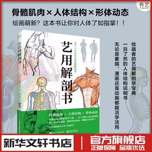 加藤公太 电子工业出版 骨骼肌肉人体结构形体动态 参考案例学习 社 艺术绘画入门解剖学绘画技巧短时间学习艺用解剖学 艺用解剖书