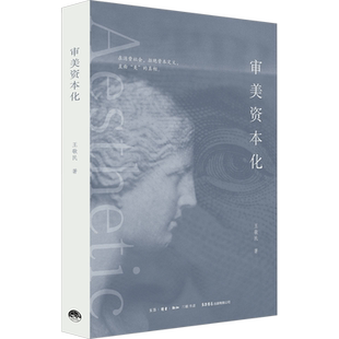 审美资本化 王敬民 著 美学社科 新华书店正版图书籍 生活书店出版有限公司