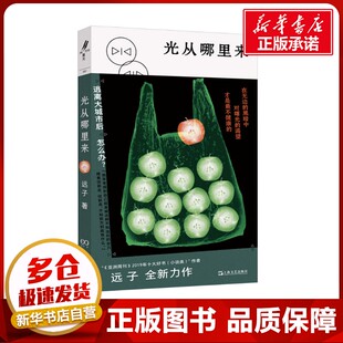 光从哪里来 远子 著 现代/当代文学文学 新华书店正版图书籍 上海文艺出版社