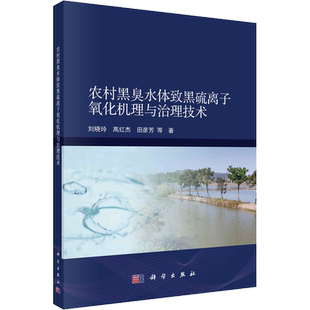 农村黑臭水体致黑硫离子氧化机理与治理技术 刘晓玲 等 著 化学（新）专业科技 新华书店正版图书籍 科学出版社