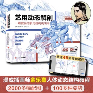 艺用动态解剖学笔记人体结构与动态塑造素描绘画教学角色设计漫威插画师金乐熹人体动态结构教程肌肉结构 多幅配图100多种姿势精讲