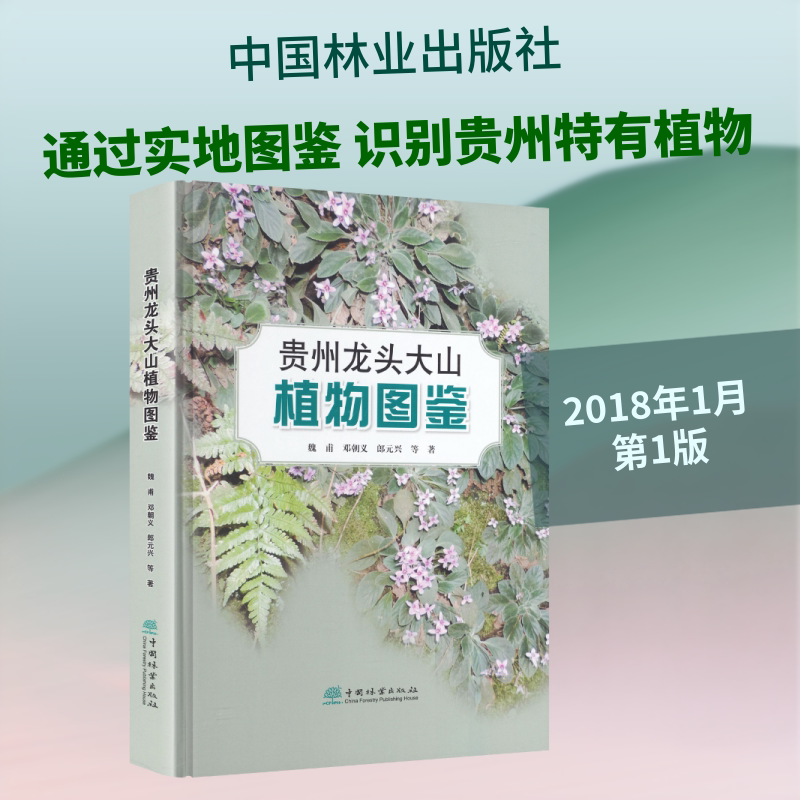 贵州龙头大山植物图鉴 魏甫 等 著 著 生命科学/生物学专业科技 新华书店正版图书籍 中国林业出版社