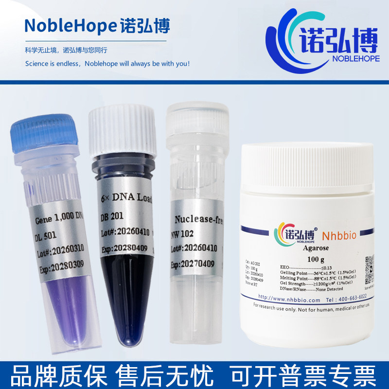 蛋白marker 琼脂糖 6× 核酸上样缓冲液 DNA 核酸染料 凝胶电泳槽图片