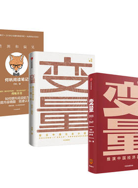 猜测和偏见+变量+变量2 何帆著 推演中国经济基本盘中国经济底层逻辑试错突变适应协作混搭 中信出版社看见中国社会小趋势