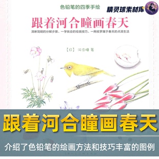 彩铅教程 手绘跟着河合瞳画春天3色铅笔绘画方法和技巧 色铅笔四季