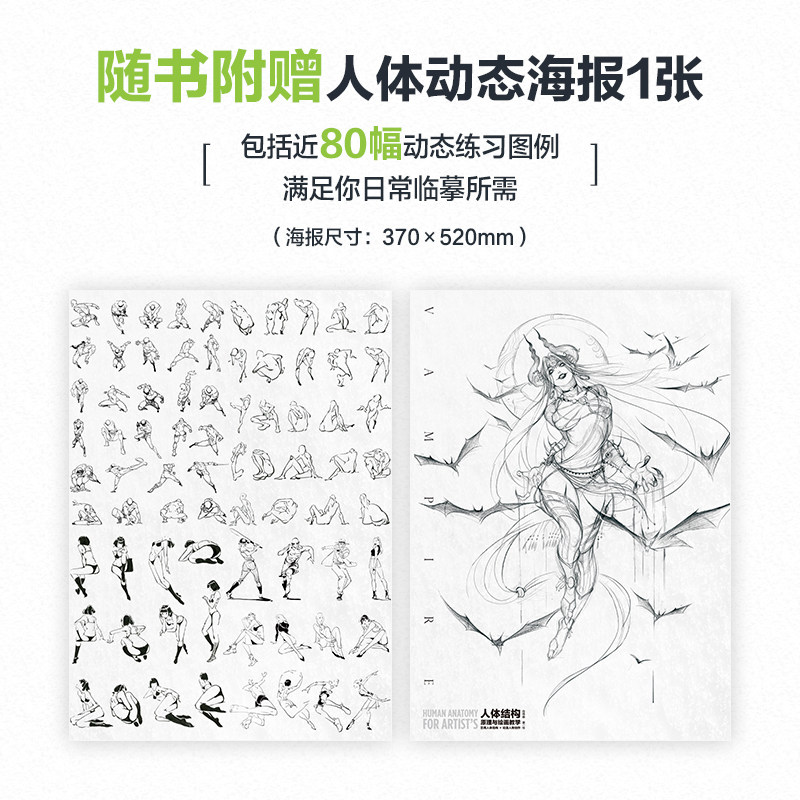 人体结构原理与绘画教学
