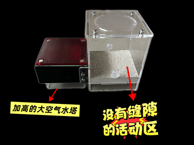 蚂蚁蚁巢加高空气塔蚂蚁巢穴蚂蚁城堡蚂蚁巢