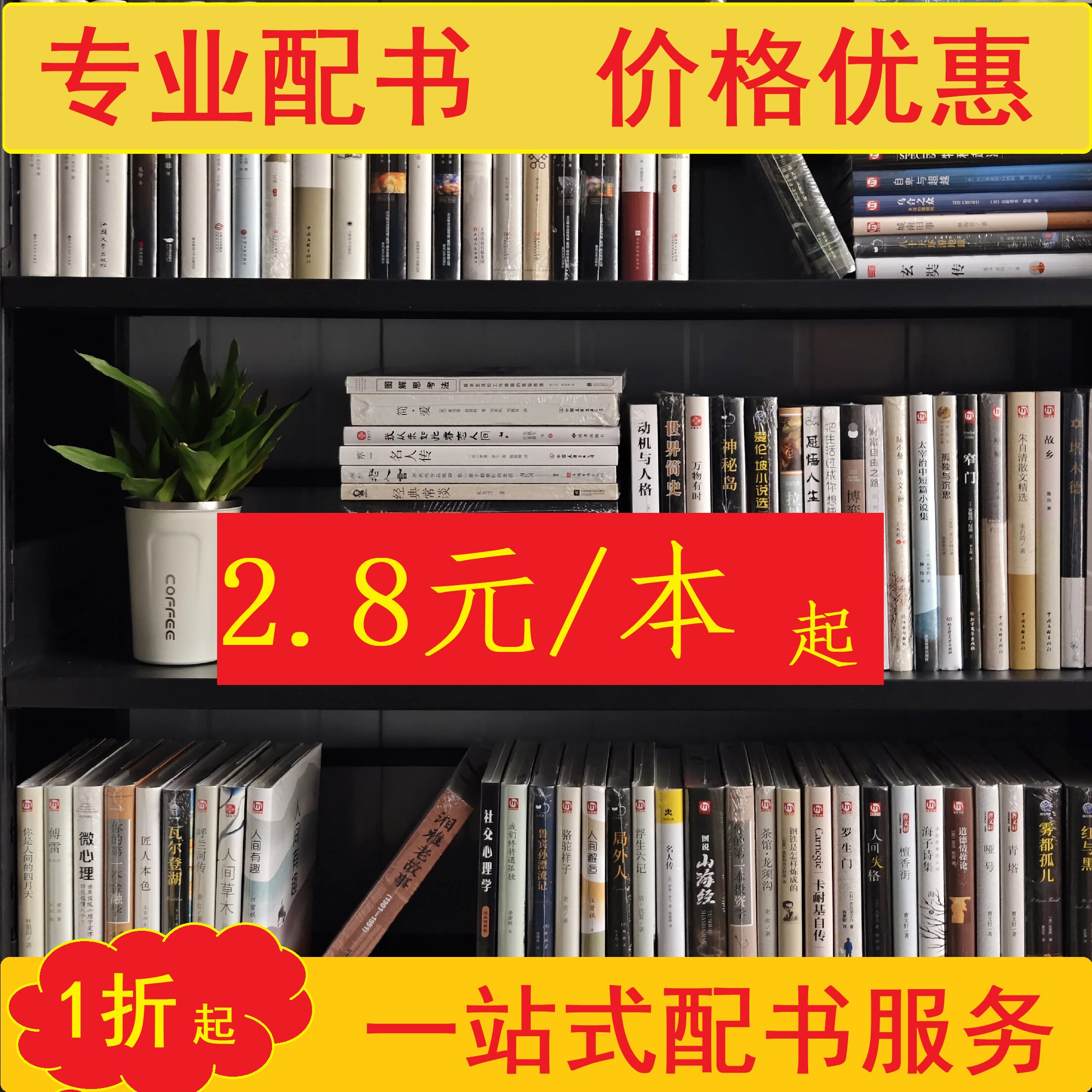 正版图书特价文学名著社科小说批发价格书吧阅览室农村书屋班级团购文艺社科学校图书馆配畅销指定书单配书