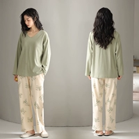 23728 Advanced Green