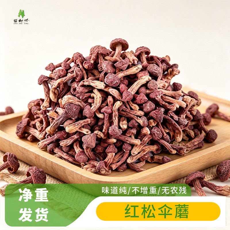 插树岭东北特产红蘑野生红蘑菇干货松树伞松蘑菇肉蘑秋板200g瓶装