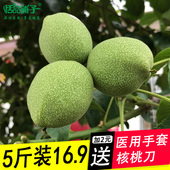 2019新货青皮核桃湿核桃带绿皮野生山核桃坚果手工剥皮散装 包邮