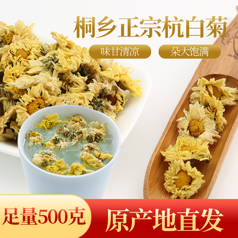 菊花茶杭白菊桐乡特级正宗黄菊贡菊杭州白菊花500g官方旗舰店正品