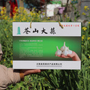 农家自种新蒜兰陵大蒜 包邮 礼品装 苍山大蒜5斤山东特级大蒜头