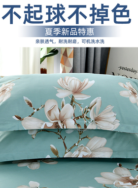 海贝100%纯棉枕头皮斜纹枕套两只装单人成人两只床上用品74x48cm