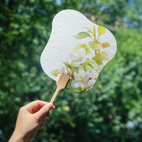 遵爵水彩纸画扇全棉640g双面空白中粗细纹棉浆水彩纸团扇DIY手工创作水粉油画素描竹杆扇子海棠芭蕉美人扇子