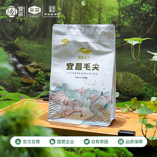 采花茶叶宜昌毛尖雨前炒青绿茶250g口粮茶 2025新茶上市