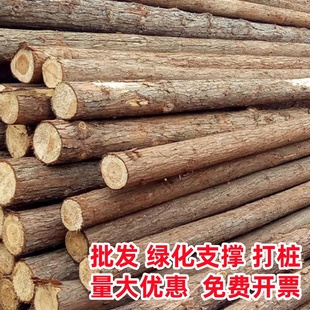 杉木杆原木装饰带皮实木树干杉木桩松木桩河道打桩木绿化支撑杆